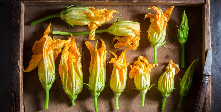 Fiori Course Picture